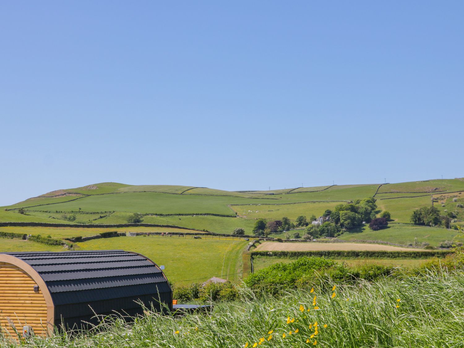 Green fields with stone walls and a rounded wooden structure in the foreground at Holly in Ulverston