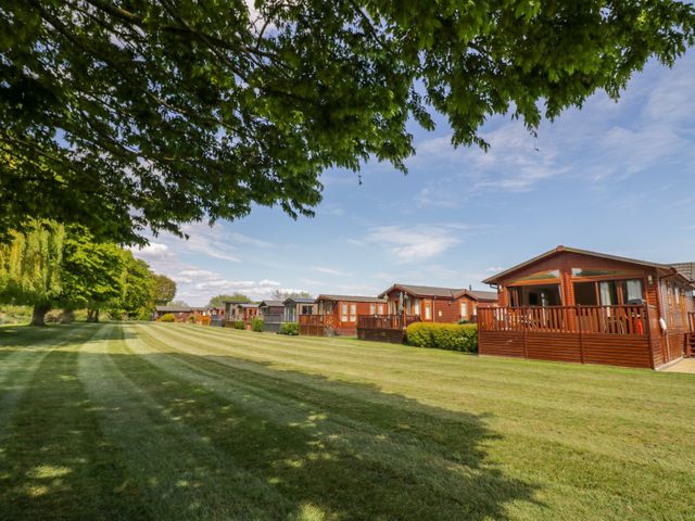 A row of wooden cabins next to a large grassy area with trees at Booster's Lodge in Stratford-upon-Avon