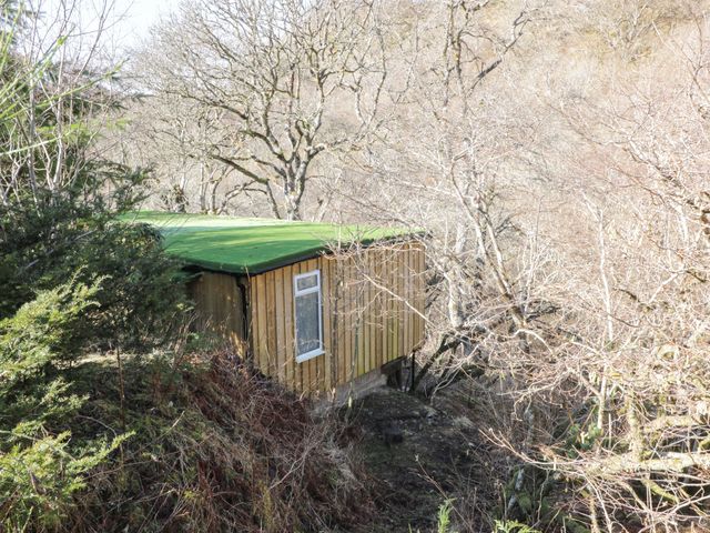 A small wooden cabin with a green roof surrounded by leafless trees and bushes at The River Lodge in Oban