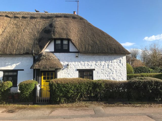 A thatched roof cottage with a yellow door and hedge in front at 5 Packhorse in Purton