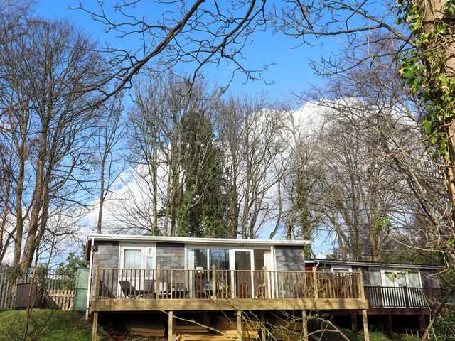 A small cabin with a wooden deck surrounded by trees at Treetops in Caernarfon