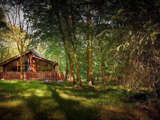 A wooden cabin with large windows surrounded by trees and grass at Beddgelert Silver Birch - freshly inspired design Beddgelert Eryri Snowdonia