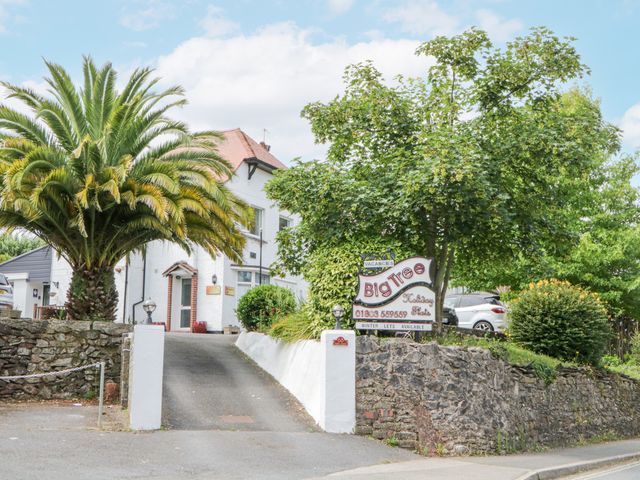 Entrance driveway with palm tree and sign for Big Tree Holiday Flats at Flat 3 Big Tree Holiday Flats in Paignton