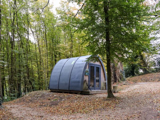 A small wooden pod with a curved roof in a forest clearing with trees and fallen leaves at Ballybeg Pod 7 Ballybeg near Tinahely County Wicklow