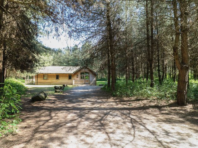A dirt path leading to a wooden cabin surrounded by trees at Rowan Lodge in Rosliston