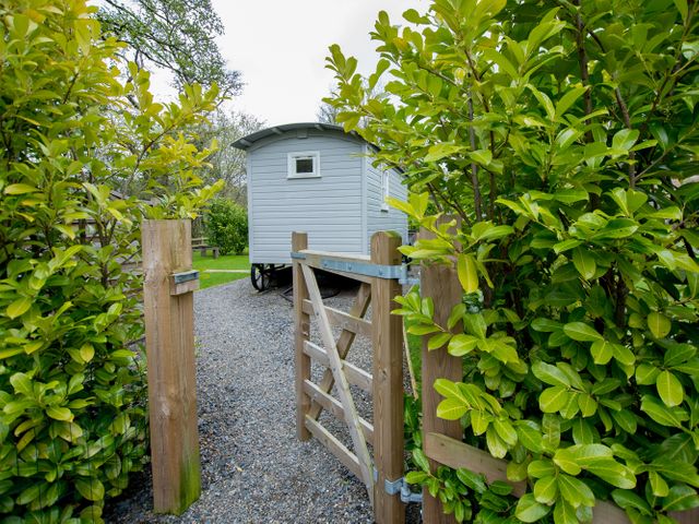 A gravel path with a wooden gate leading to a small light grey caravan surrounded by green bushes at The Snug in Longtown