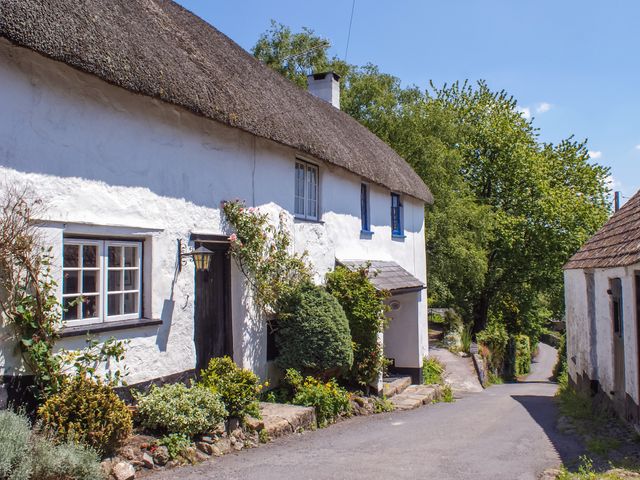 A thatched white cottage with plants outside next to a narrow road with trees in the background at Little Gate Cottage in North Bovey