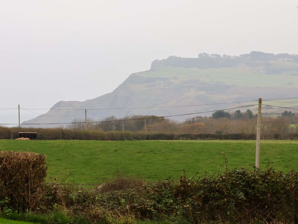 A green field with bushes and power lines in front of a hill in the background at Orchard Cottage in Robin Hoods Bay