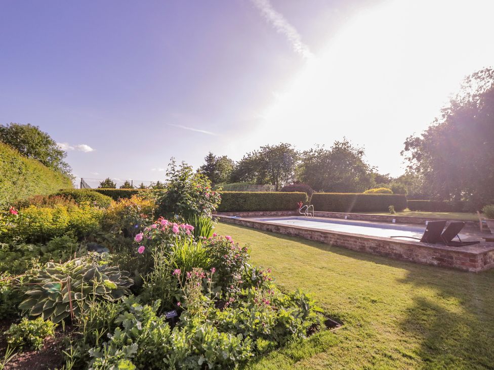 A garden with flowering plants a swimming pool and two lounge chairs at Little Pontus in Molash near Challock