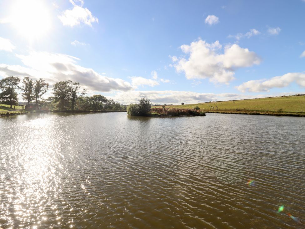A pond with a small island surrounded by trees and fields at Cedar Cabin Near Clifton Upon Teme