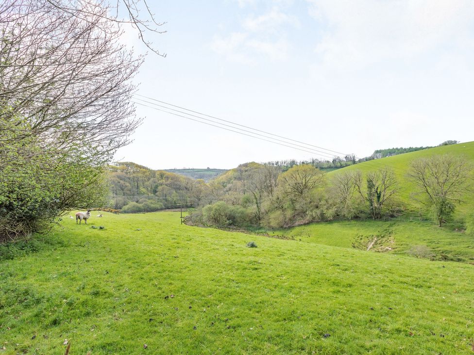 A green grassy field with trees and sheep under a clear sky at Hazel Barn in North Molton