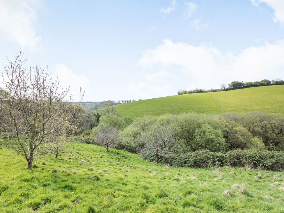 A grassy field with several trees and bushes under a partly cloudy sky at Hazel Barn in North Molton