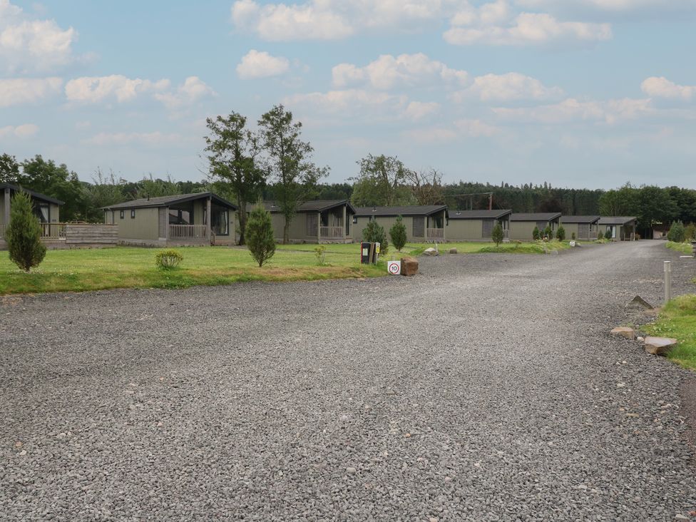 A row of cabins along a gravel road with grass and trees at Lodge 7 - The Earn in Errol