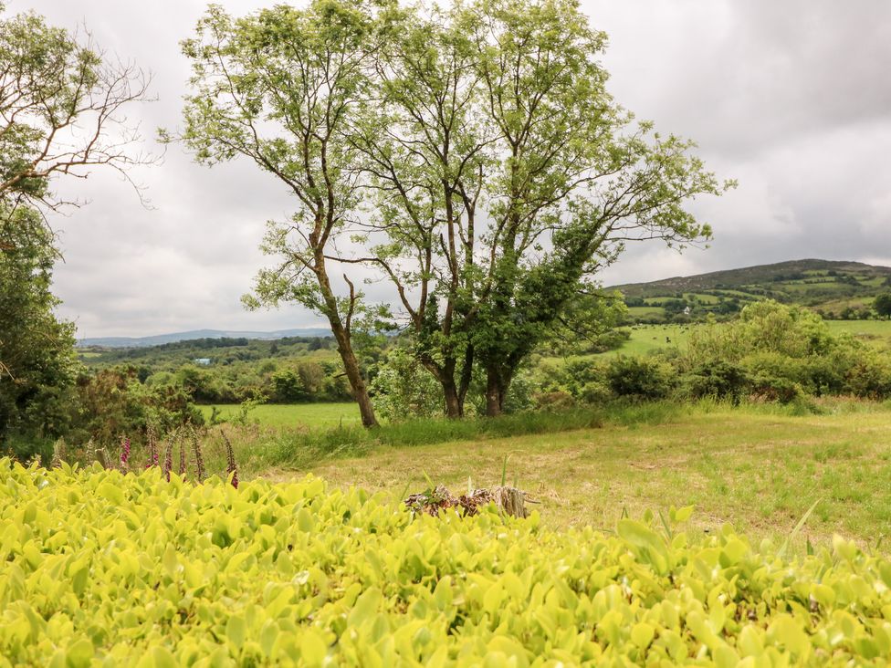 An outdoor scene with green bushes in the foreground trees and hills in the background at Waterfall House Dunmanway County Cork