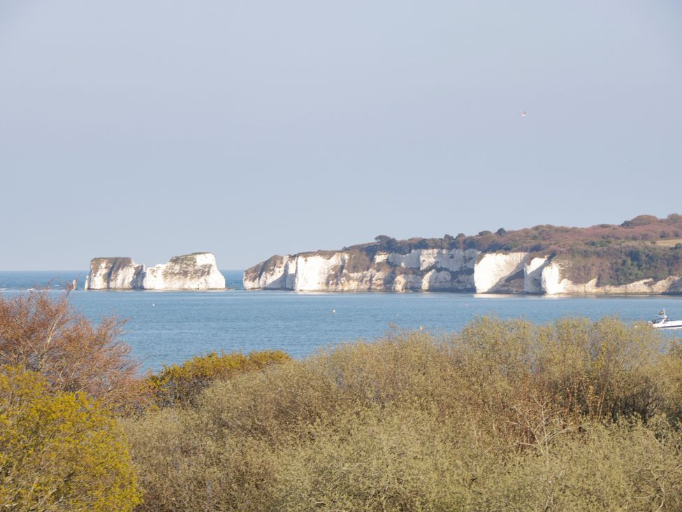 A seascape view with cliffs in the distance and trees in the foreground at Bluebell Apartment in Swanage