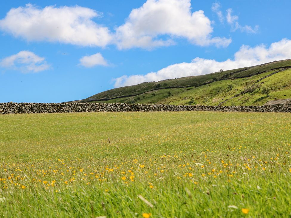 A field with yellow flowers green hills and a stone wall under a blue sky at Wayside Farm in Muker