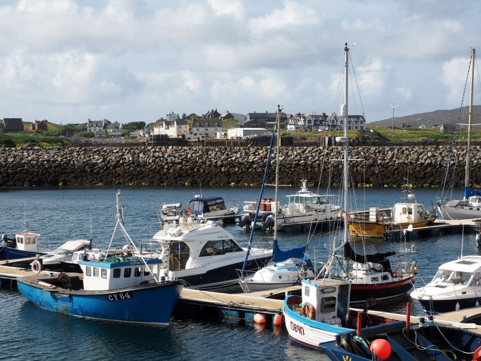 A harbor with various boats docked and houses in the background at Tulloch House in Lochboisdale
