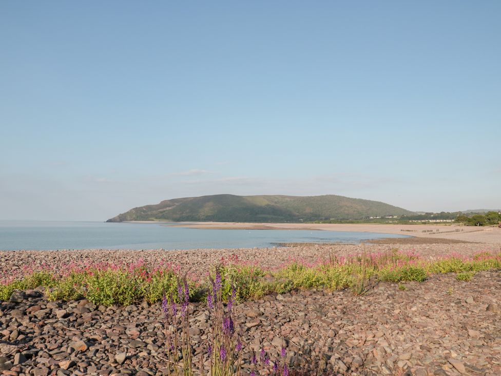 A rocky beach with wildflowers by calm water and hills in the background at The Pound in Porlock