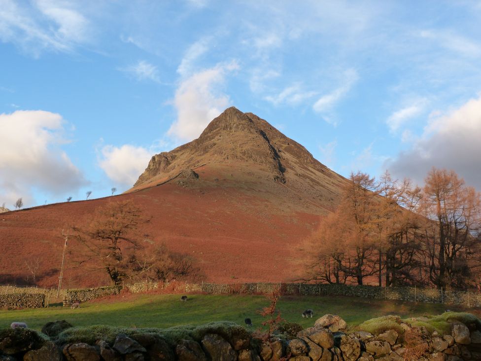 A mountain with sparse trees and a stone wall in front of a grassy field at Holly in Ulverston
