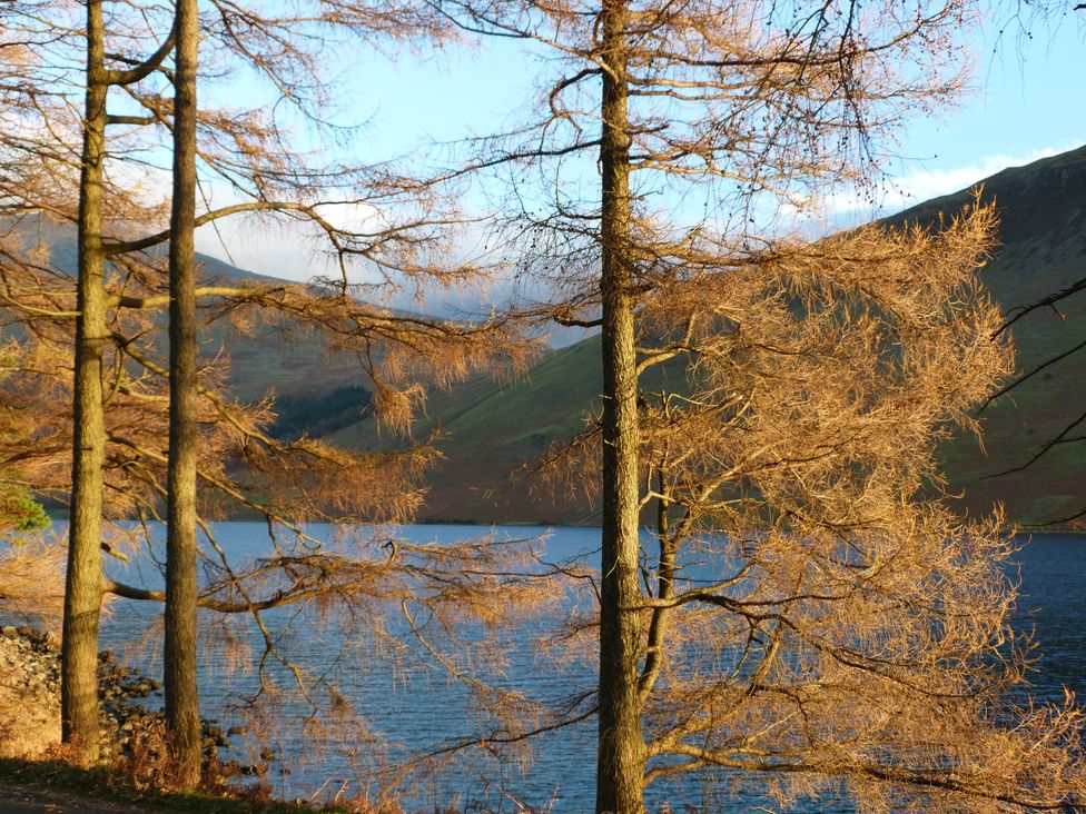 Trees with sparse leaves by a lake with hills in the background at Holly in Ulverston