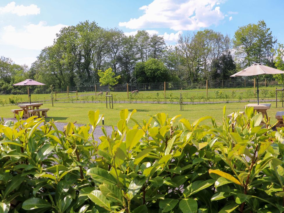 A garden area with picnic tables and umbrellas near a fenced grassy field with trees at No Deer in Ashbourne