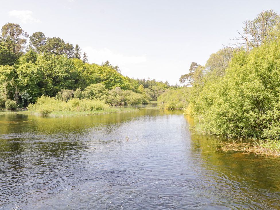 A river surrounded by trees and bushes at Glebe House in Ballinrobe County Mayo