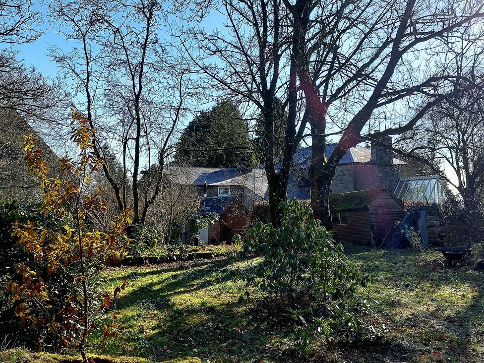 A garden with trees bushes and a shed behind a house at The Coach House Canonbie near Langholm