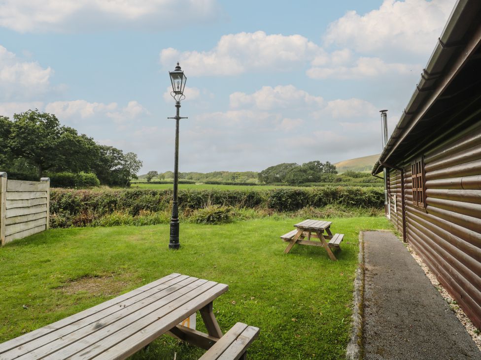 Ash - Dorset - 1131366 - thumbnail photo 7
