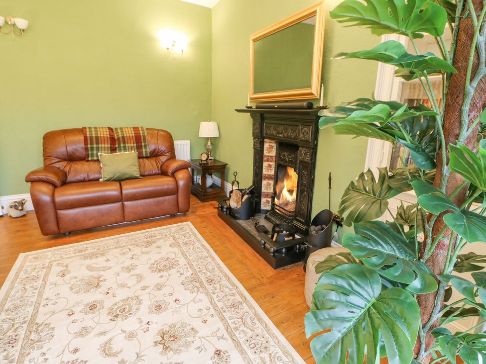 A sitting room with a brown leather sofa fireplace and a large green plant at Miss Burrow's House in Hawes