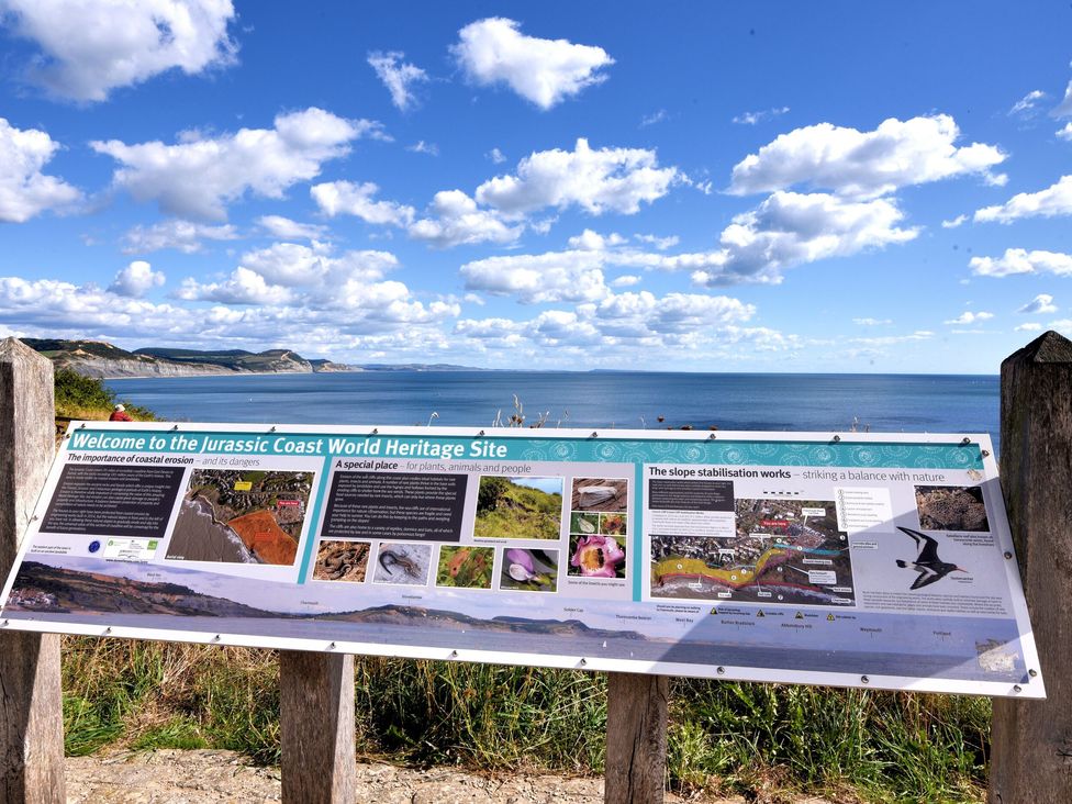 Lyme Bay View - Dorset - 1139390 - thumbnail photo 49