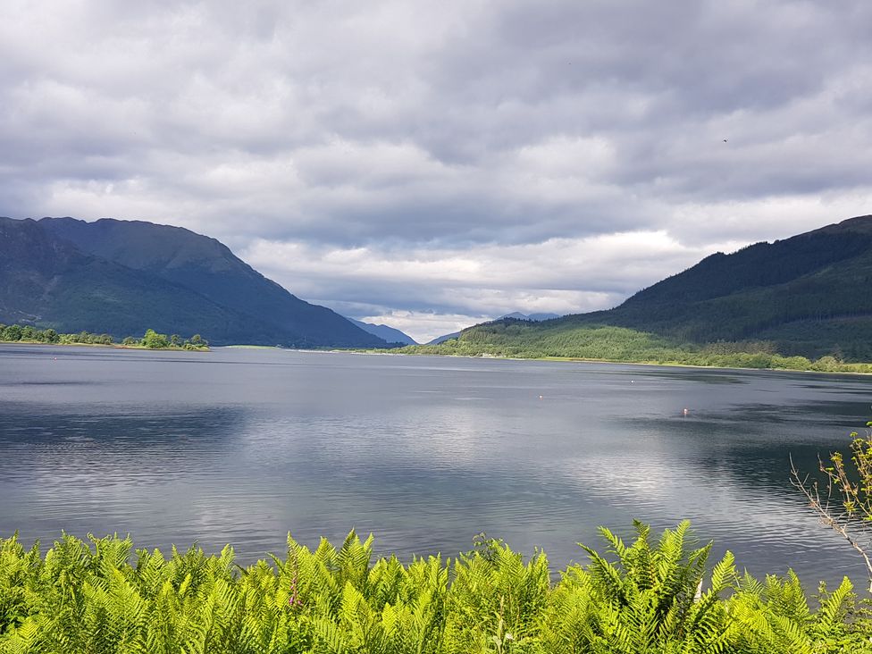 A lake with hills and ferns in the foreground at Callart View in Glencoe