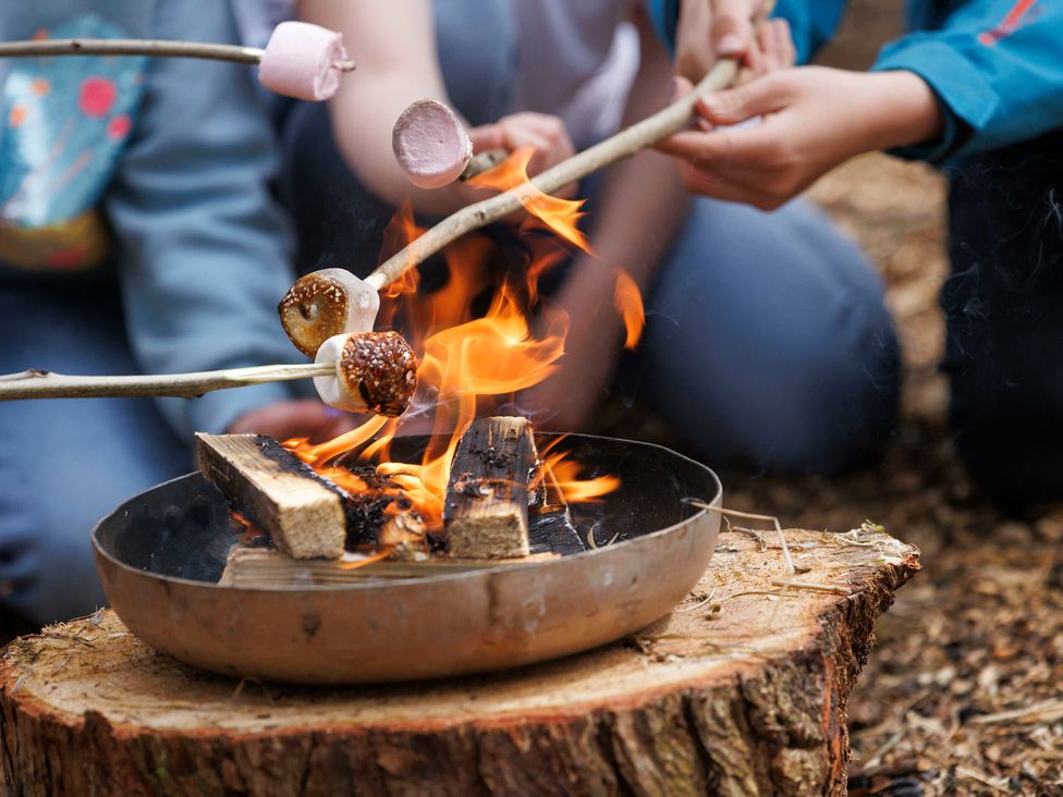 People roasting marshmallows on sticks over an open fire outdoors