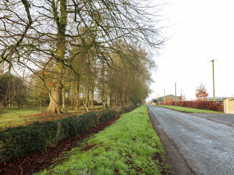 A country road beside a grassy verge and a row of trees at The Abraham in Castledermot County Kildare