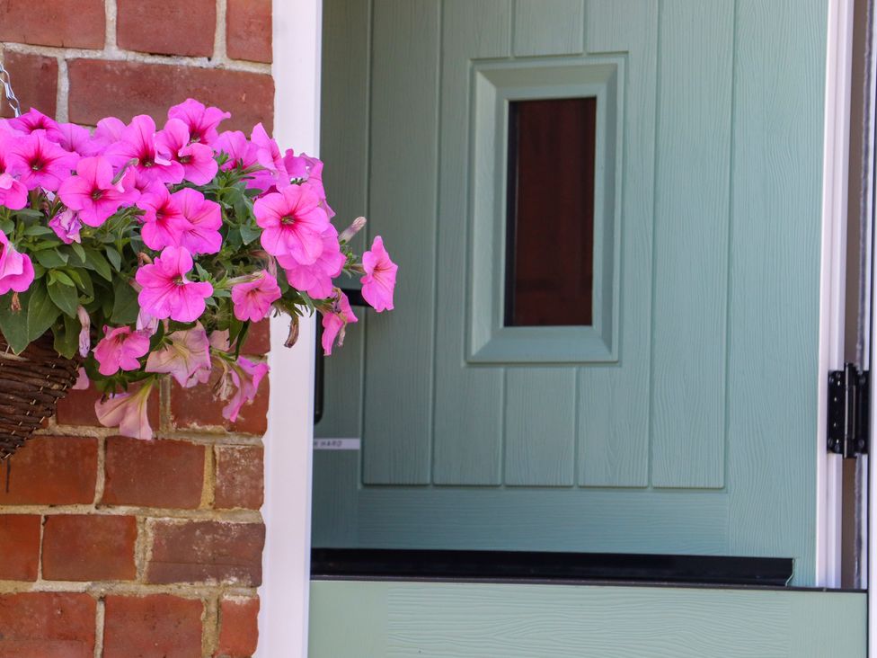 A brick wall with a hanging basket of pink flowers next to a pale green door with a small rectangular window at The View in Goodnestone near Faversham