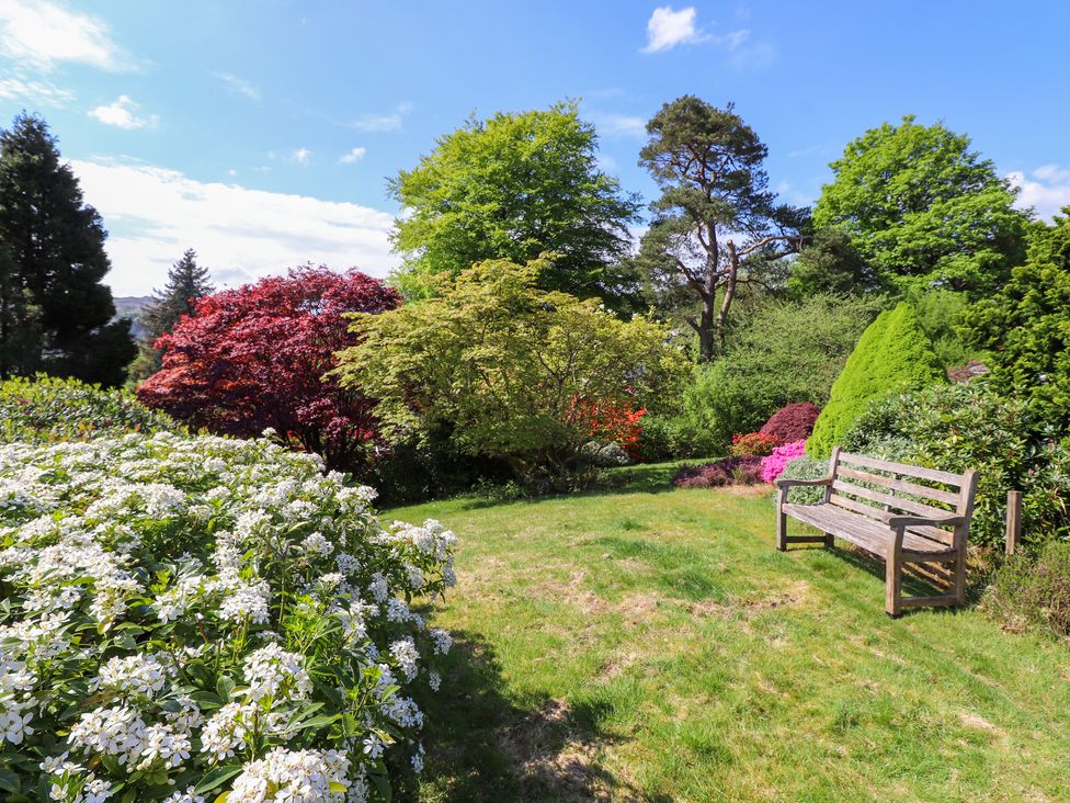 A garden with a wooden bench surrounded by various trees and bushes at Sweden Bridge Cottage in Ambleside