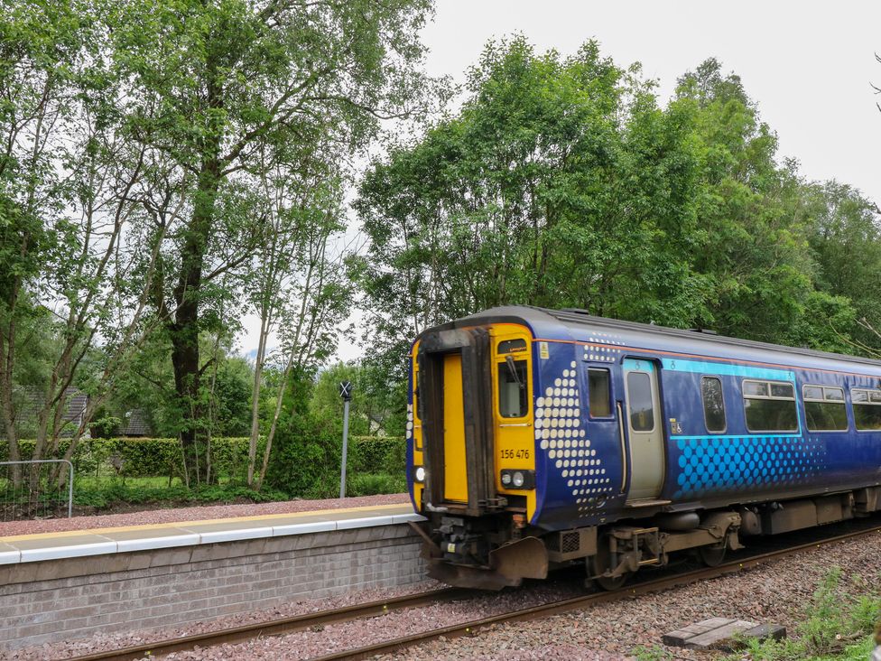 A blue and yellow train passing a platform with trees in the background at Mo Dhachaidh in Roy Bridge
