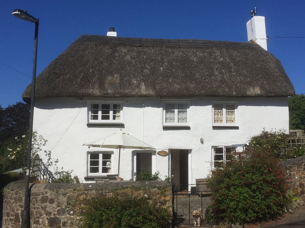 A white house with a thatched roof behind a stone wall and garden at Primrose Cottage in Drewsteignton