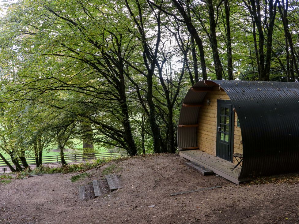 A wooden pod with a curved roof in a wooded area with trees and a dirt ground at Ballybeg Pod 7 Ballybeg near Tinahely County Wicklow