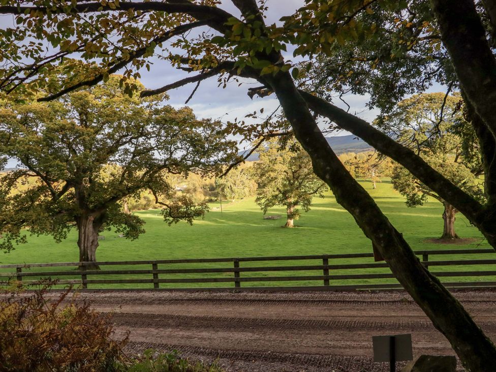 A green field with trees and a wooden fence beside a dirt road at Ballybeg Pod 7 Ballybeg near Tinahely County Wicklow