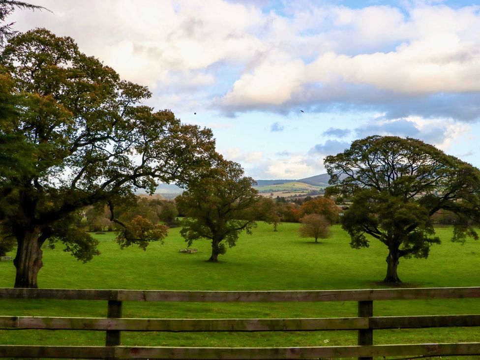 A green field with large trees and a wooden fence under a cloudy sky in Ballybeg near Tinahely County Wicklow