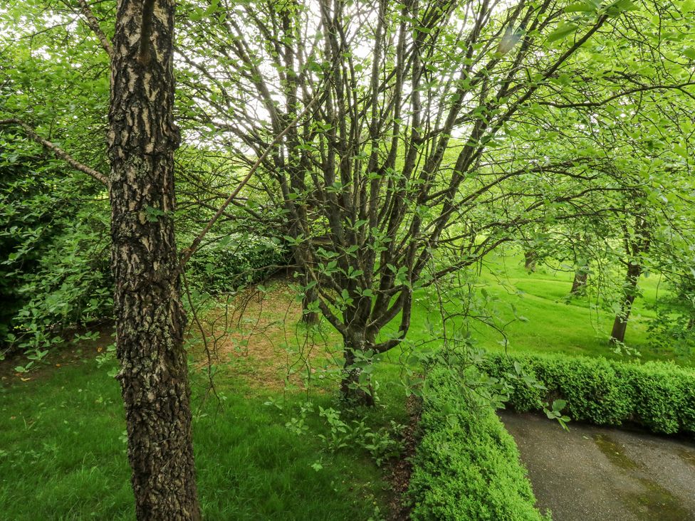 A garden with trees grass and a paved pathway bordered by shrubs at Treetops in Southerton