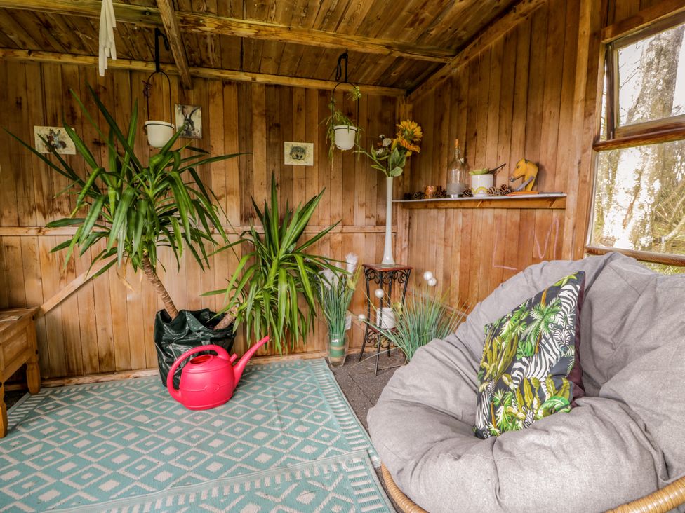 A wooden room with large green plants a red watering can a gray cushioned chair with a patterned pillow and small decorative items on a shelf at Rose Cottage in Stranraer