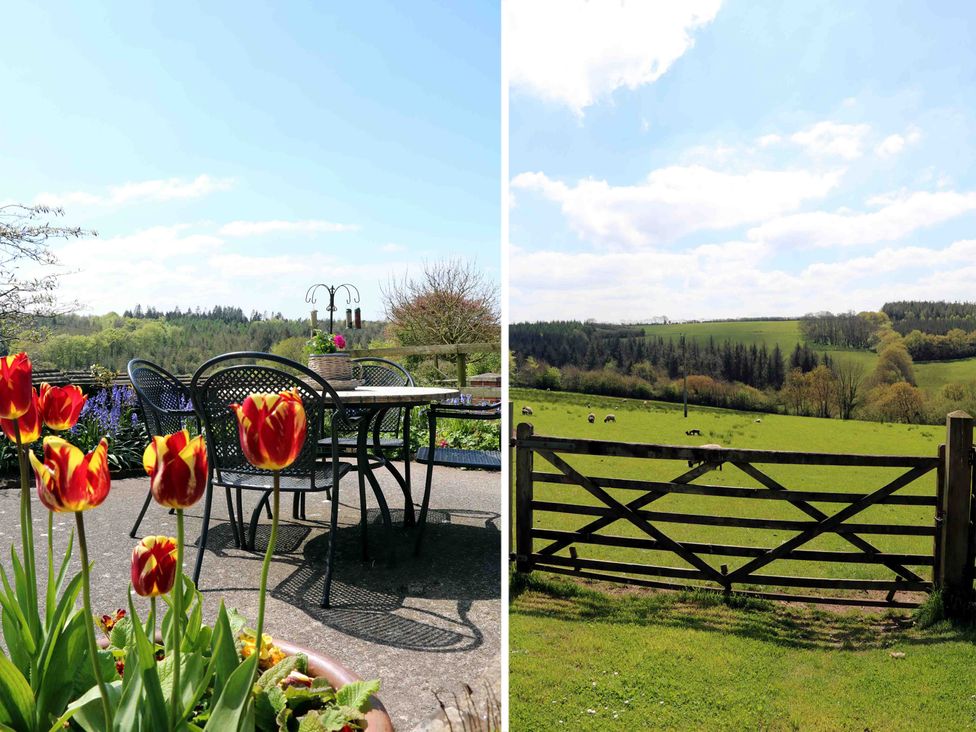 An outdoor patio with a table and chairs near red and yellow tulips beside a wooden gate and green fields with sheep at Primrose Cottage in Huntshaw near Great Torrington