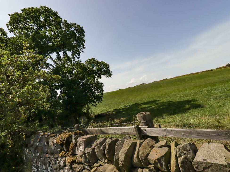 A stone wall with wooden fencing next to a field and trees at Camphill in Kirkcudbright