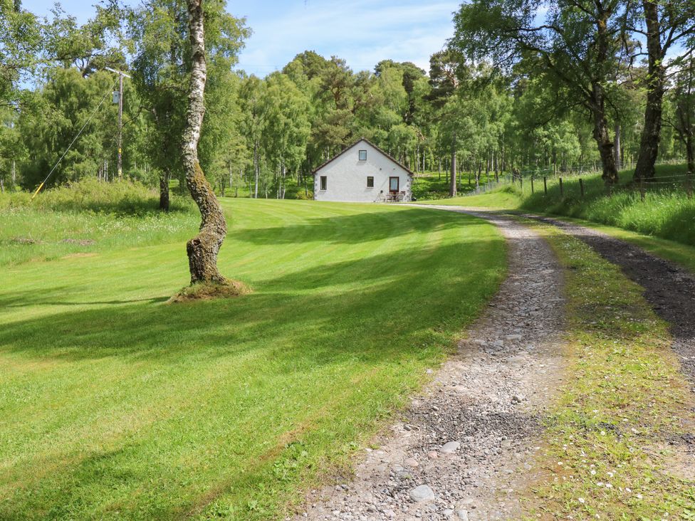 Birchbank - Scottish Highlands - 961571 - thumbnail photo 2