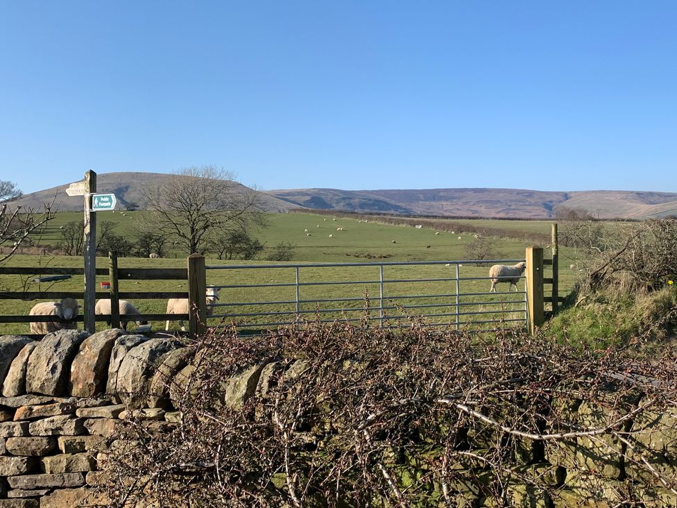 A field with sheep fenced by a gate and stone wall with hills in the background at Cuthbert Hill Farm in Chipping