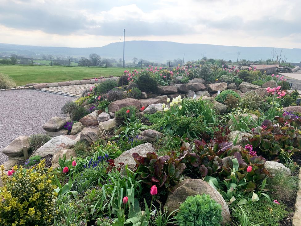 A garden with tulips and various plants surrounded by rocks and a gravel path at Cuthbert Hill Farm in Chipping