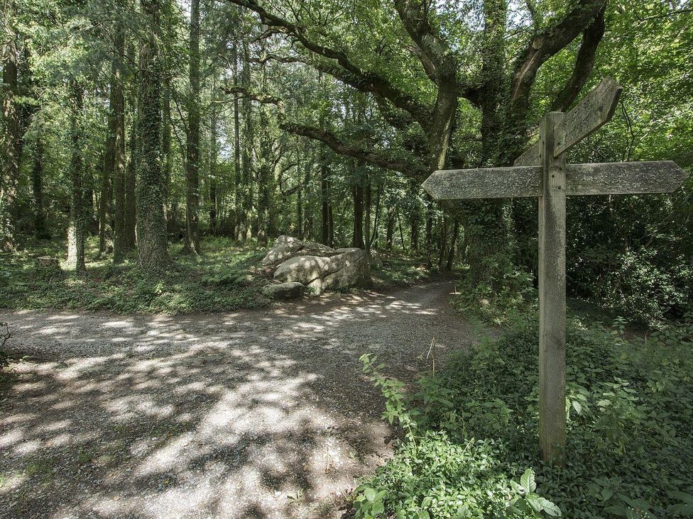 A forest path with a wooden signpost and large rocks at Water Barn in Manaton near Lustleigh