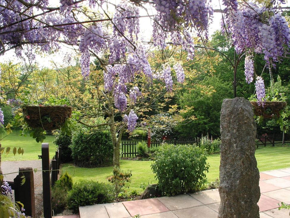 A garden with hanging flower baskets and purple wisteria flowers over a stone pillar at Honey House in Combebow near Bridestowe