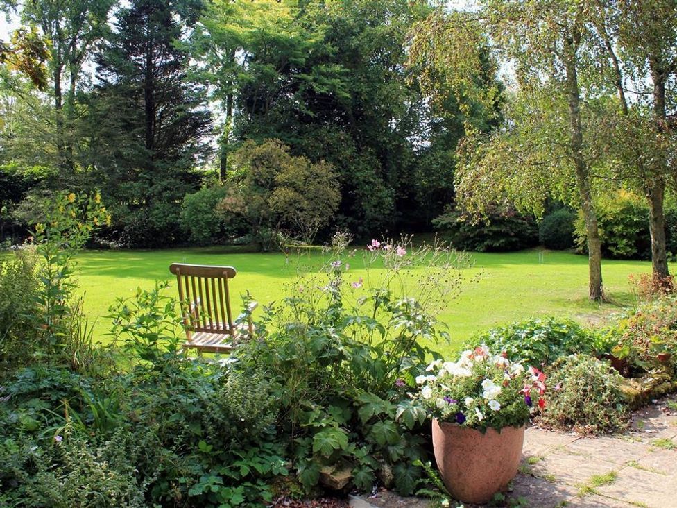 A garden with a wooden chair on grass surrounded by plants and flowers at Droop Farm Cottage in Droop near Hazelbury Bryan